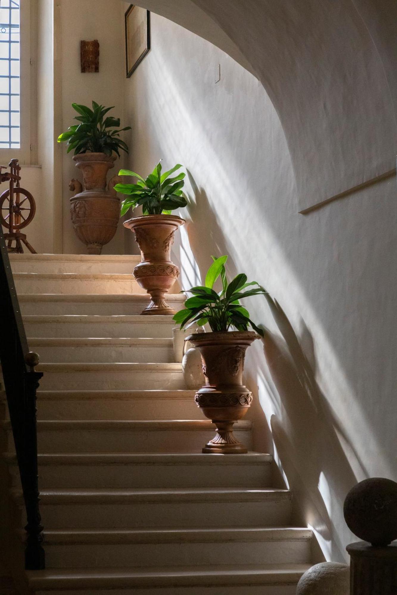 Villa Fenicia Ruvo di Puglia Exterior photo